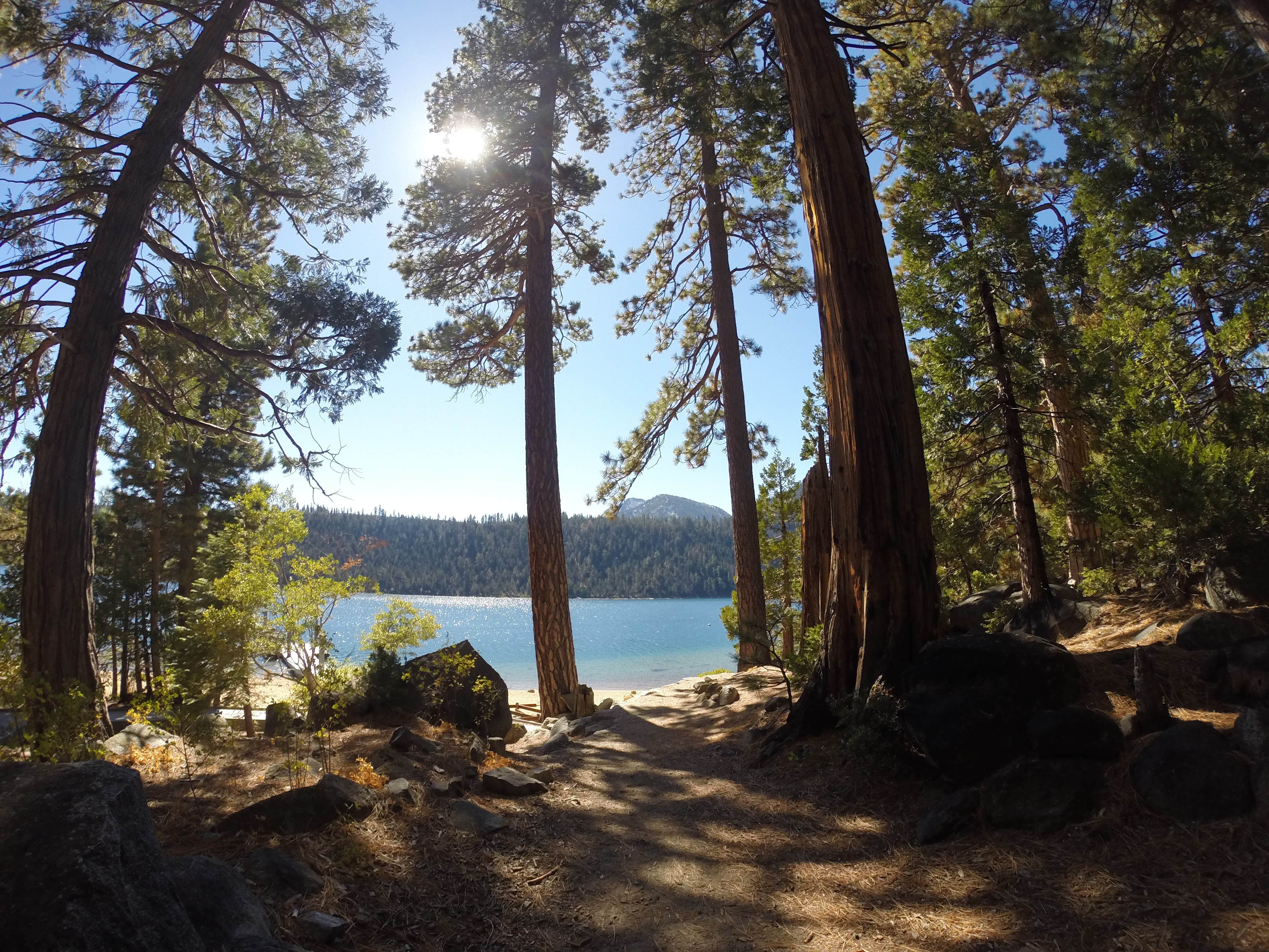 D.L. Bliss State Park Campground