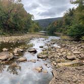 Review photo of Ozark Campground — Buffalo National River by Jeff P., November 10, 2020