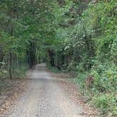 Review photo of Ozark Campground — Buffalo National River by Jeff P., November 10, 2020