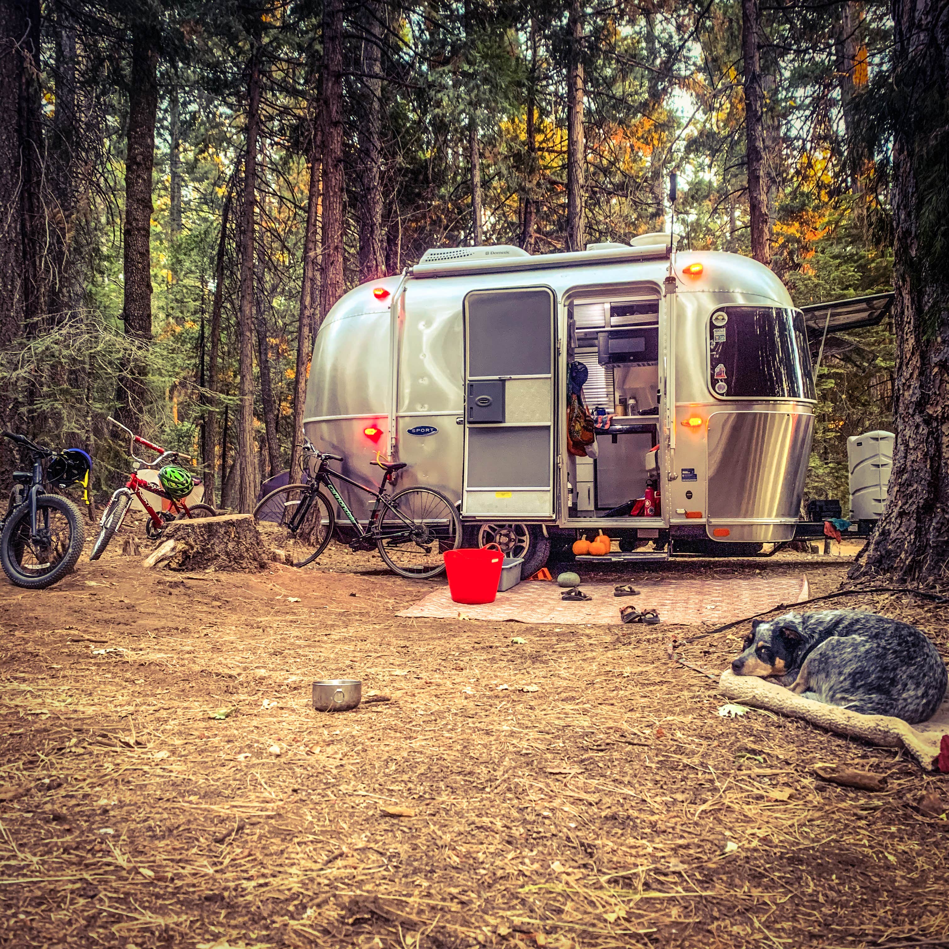 Camper submitted image from White Cloud - 3