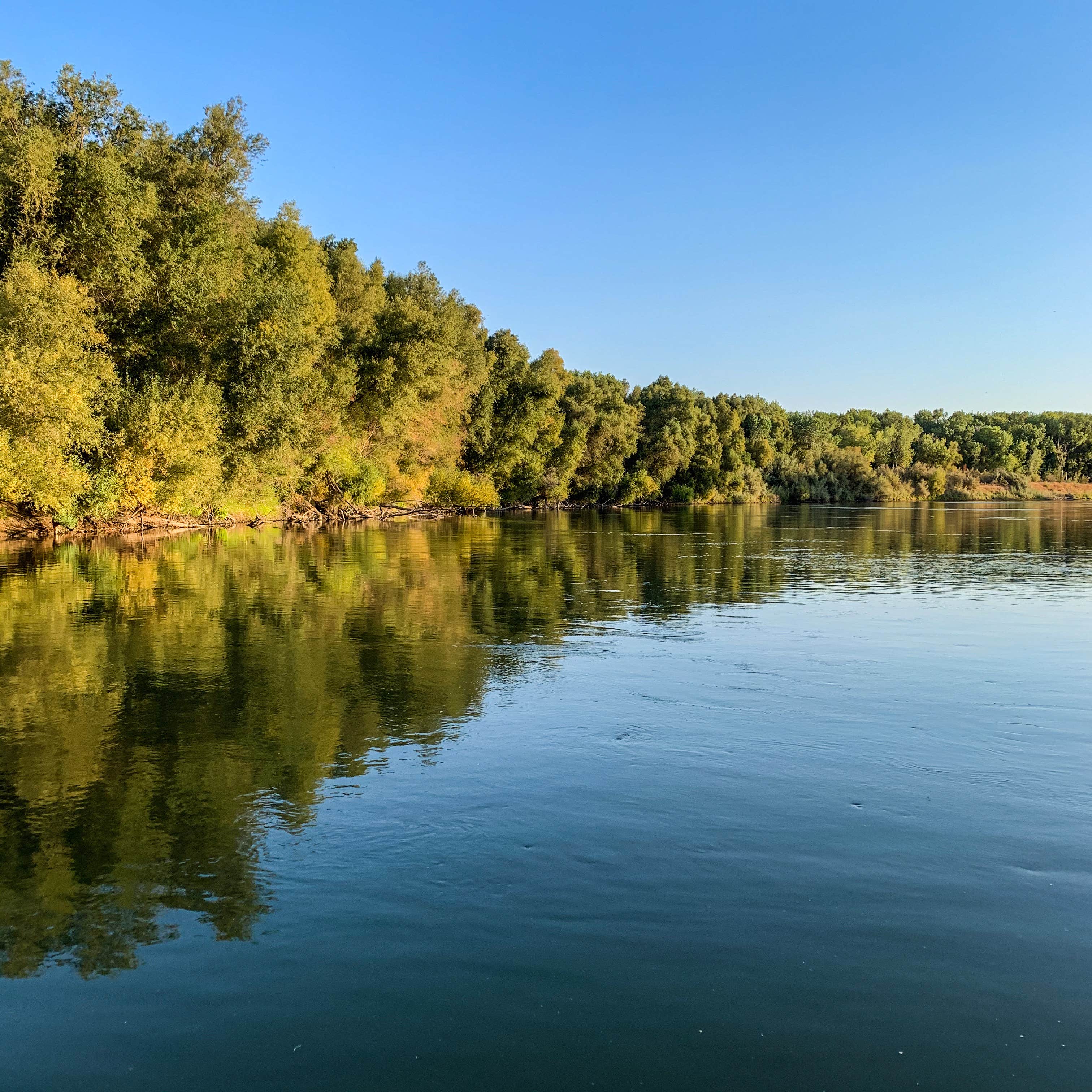 Camper submitted image from Colusa-Sacramento River State Recreation Area Campground - 3