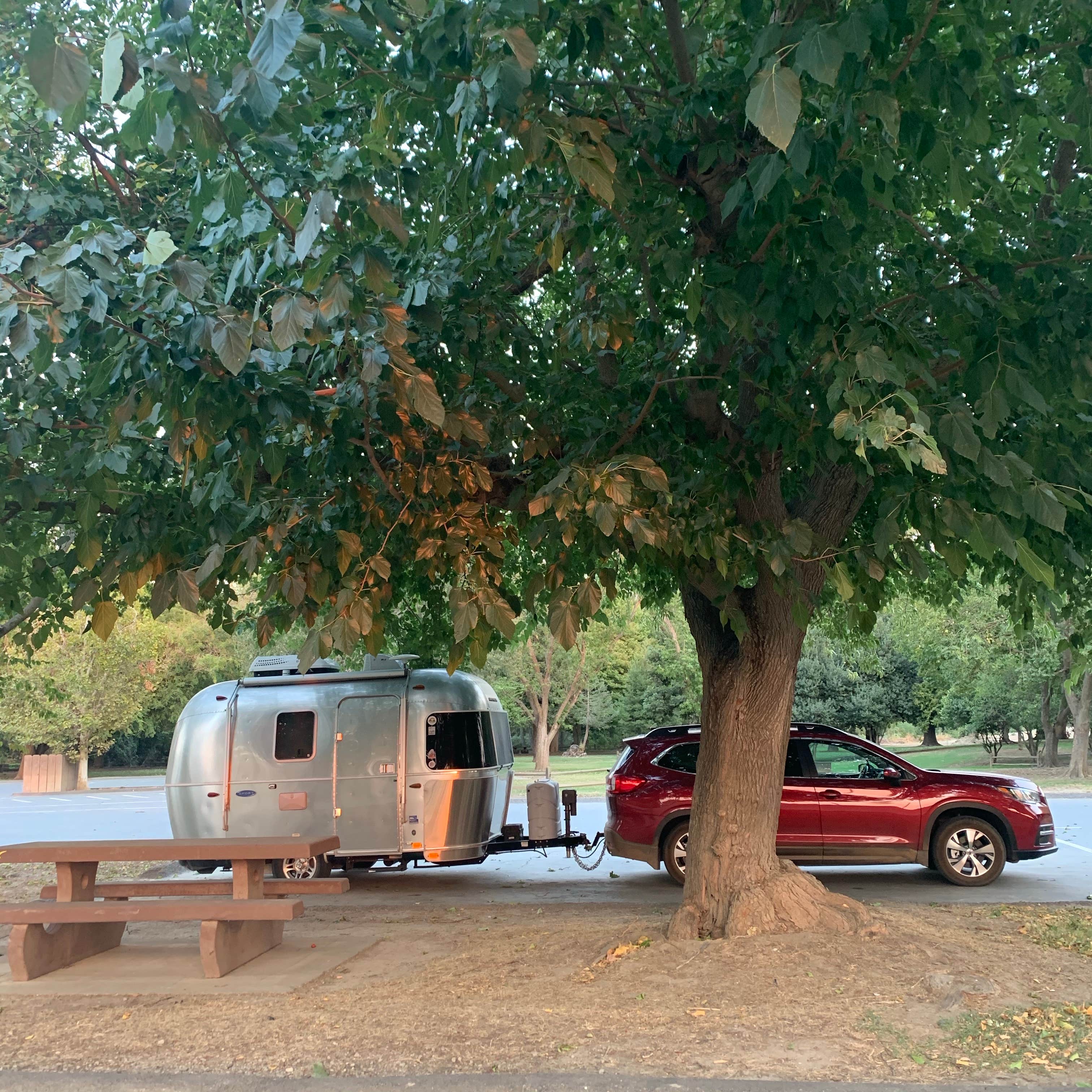 Camper-submitted photo at Colusa-Sacramento River State Recreation Area Campground near Williams, CA