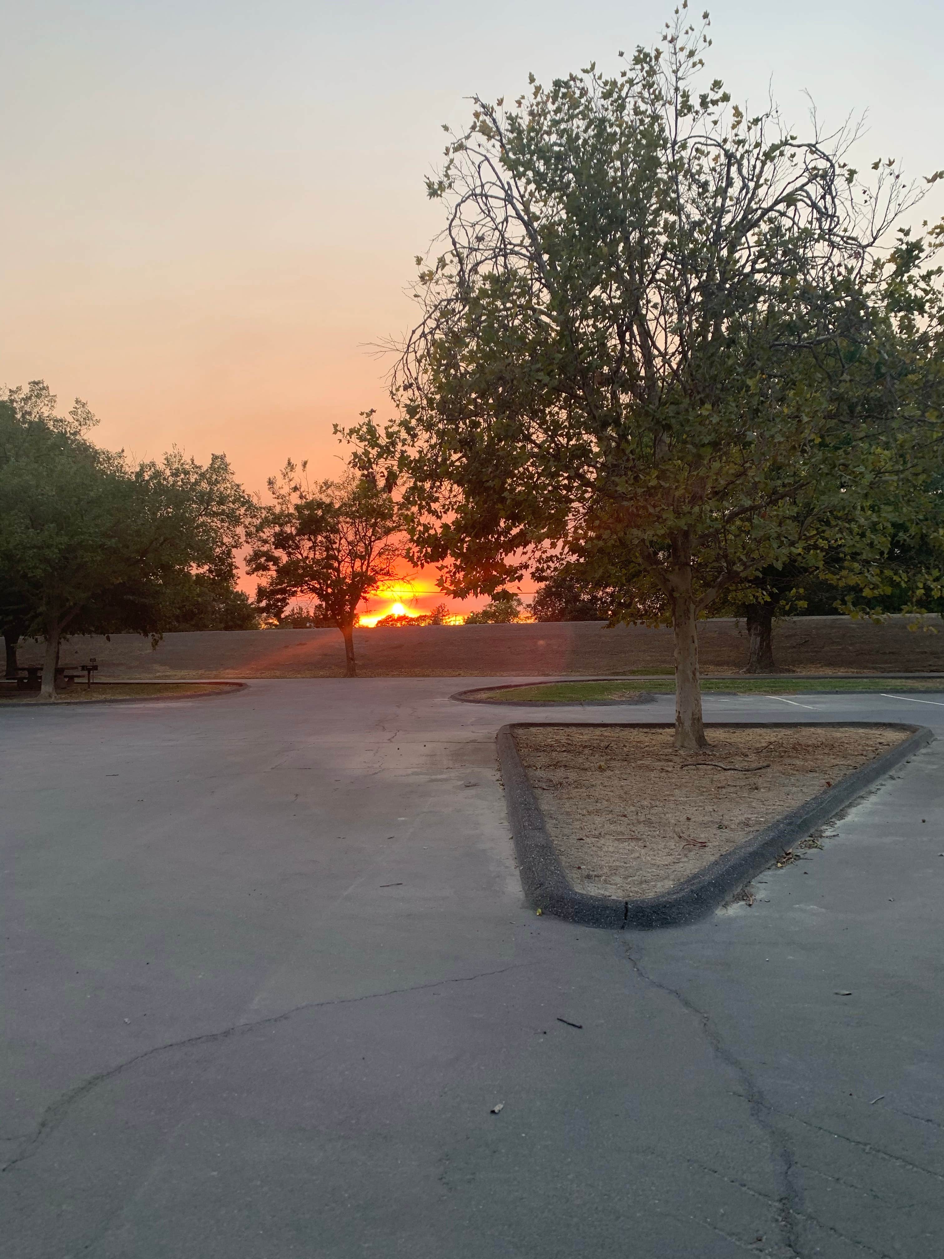 Camper submitted image from Colusa-Sacramento River State Recreation Area Campground - 4
