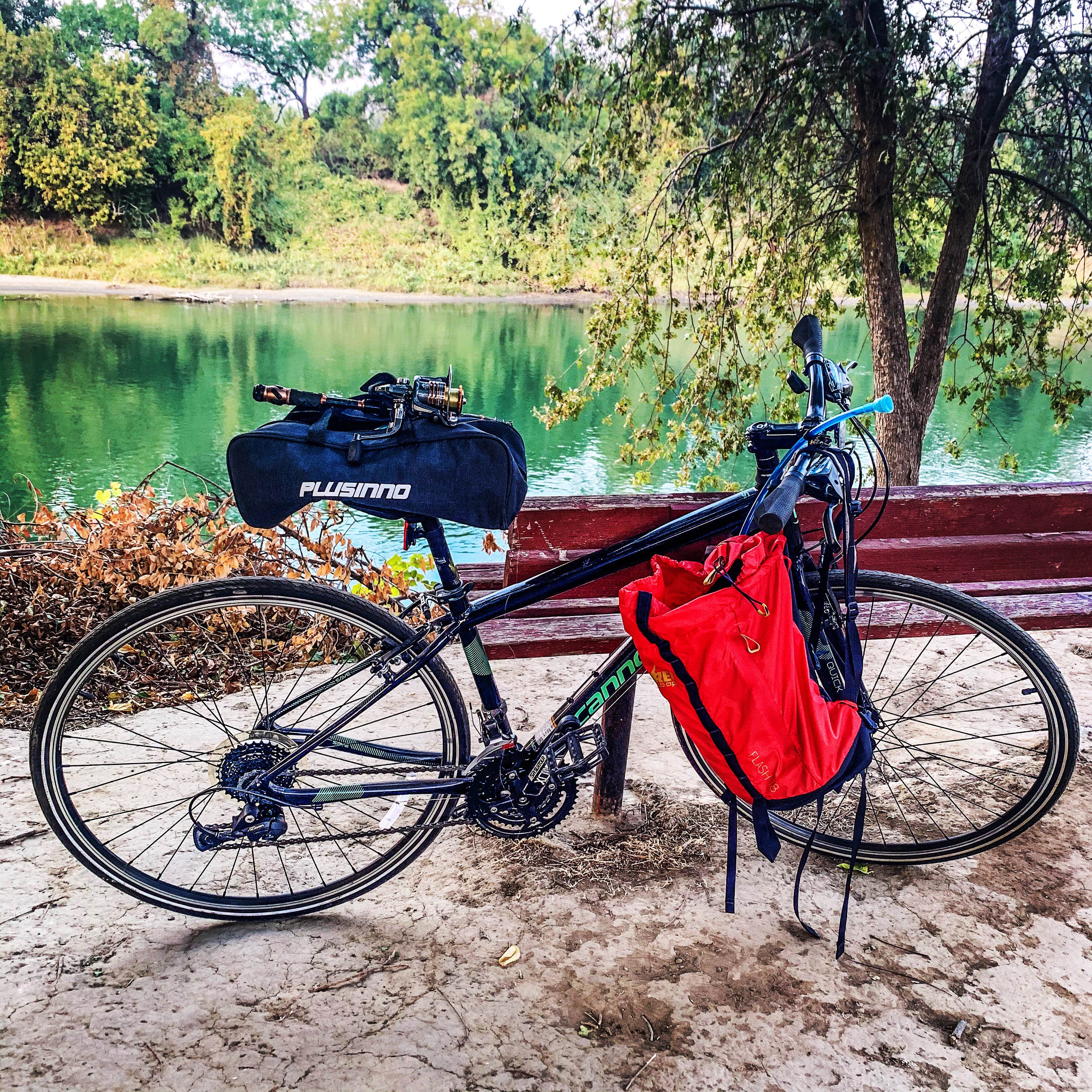 Camper submitted image from Colusa-Sacramento River State Recreation Area Campground - 5