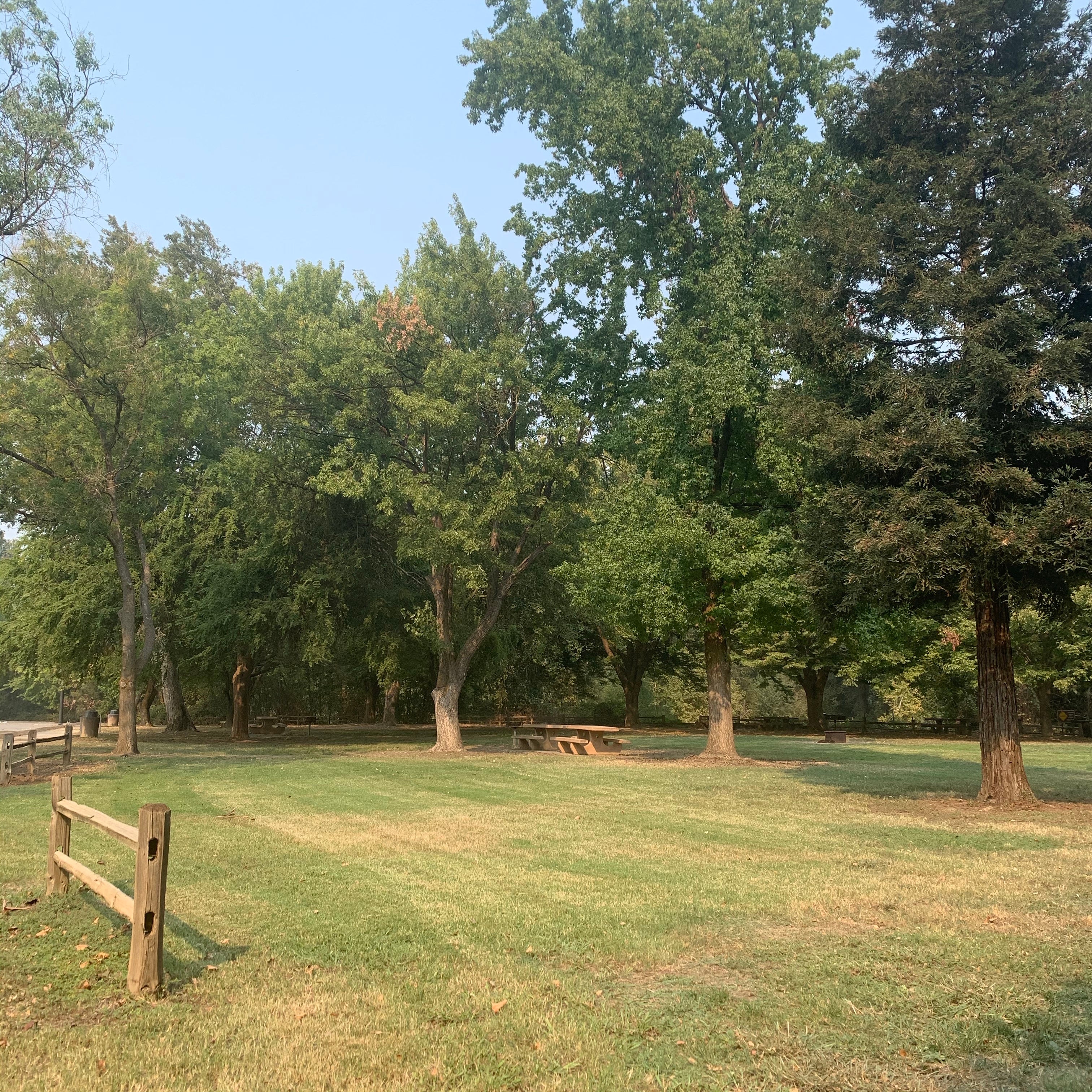 Camper submitted image from Colusa-Sacramento River State Rec Area — Colusa-Sacramento River State Recreation Area - 3