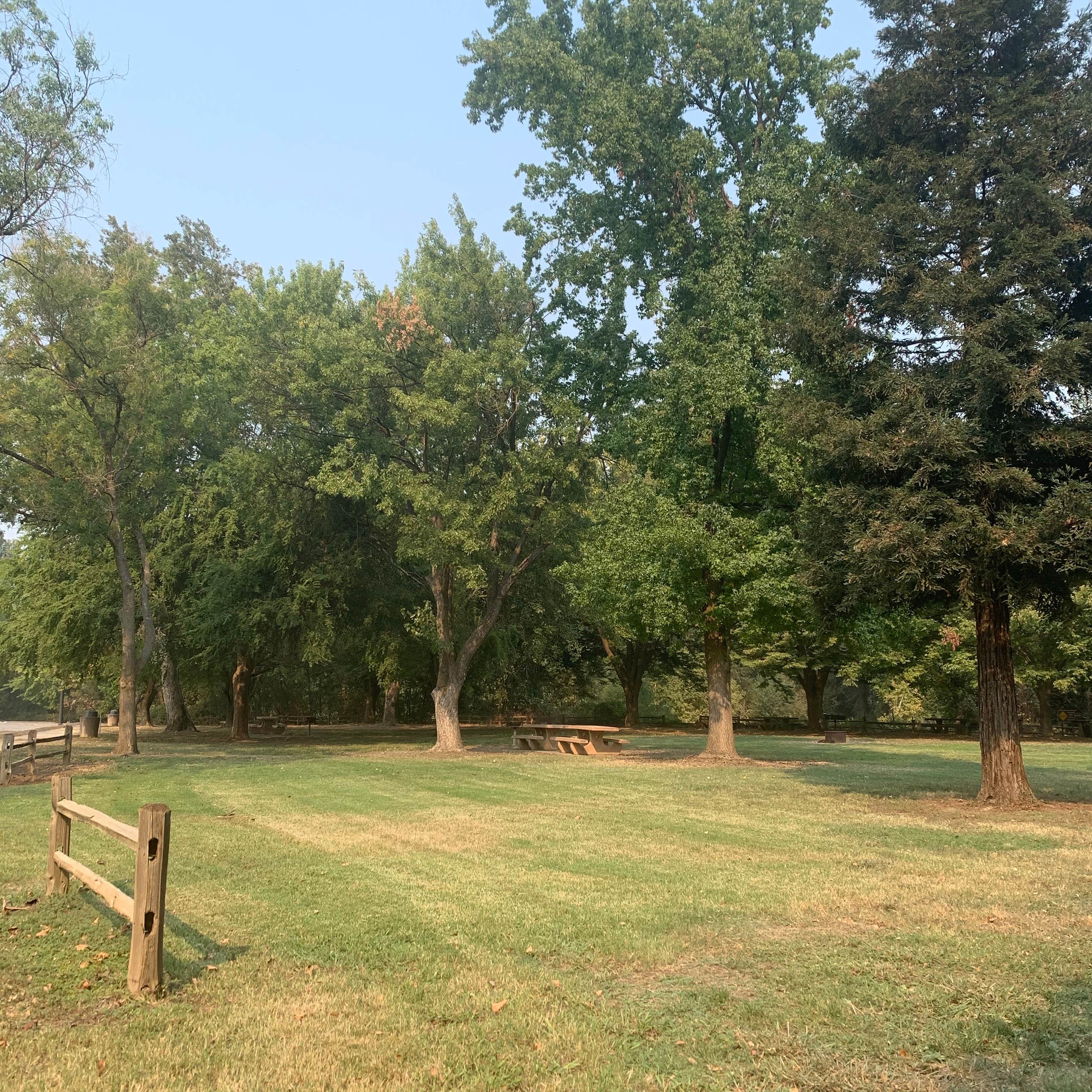 Camper submitted image from Colusa-Sacramento River State Recreation Area Campground - 3