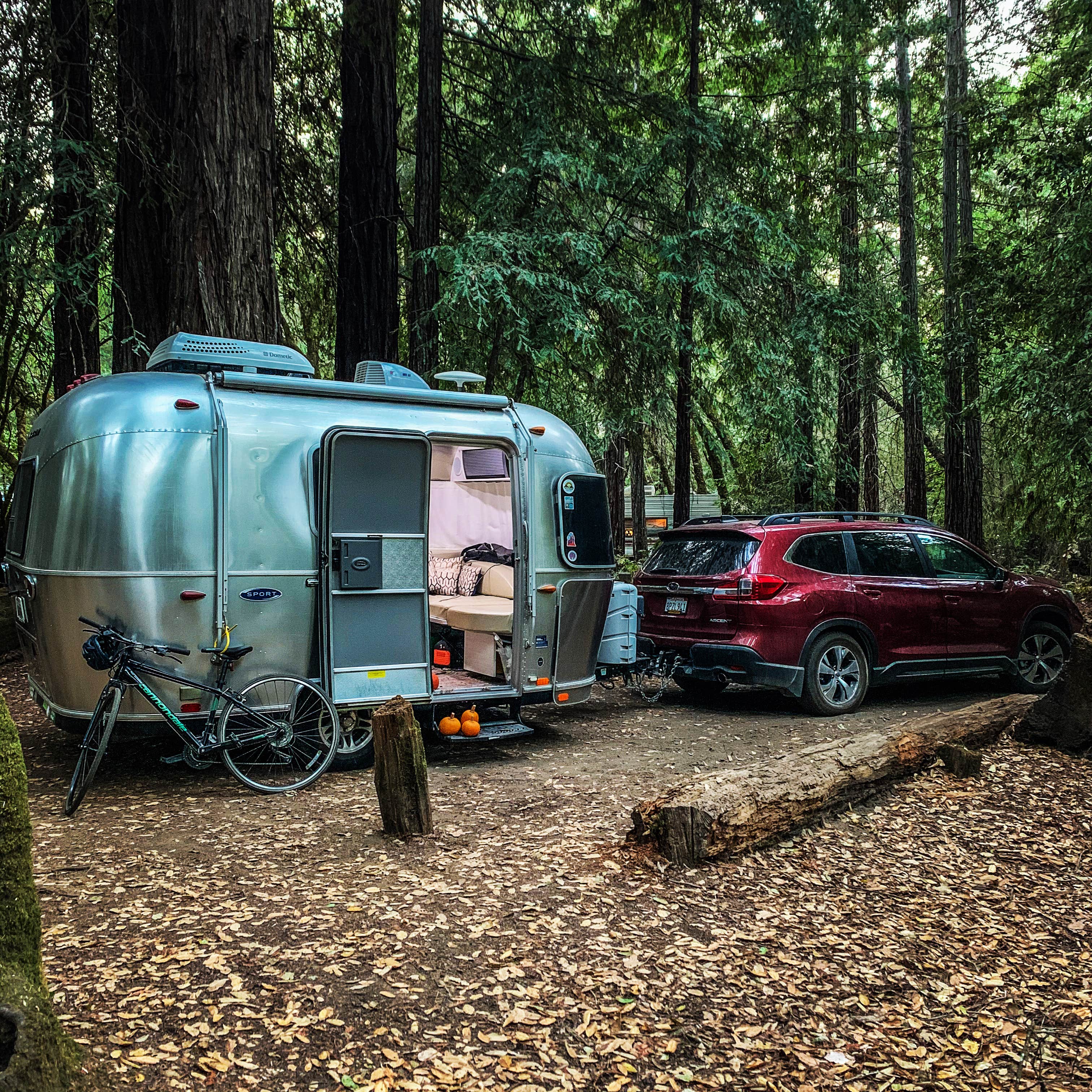 Meg R.'s photo at Hendy Woods State Park Campground near Point Arena, CA