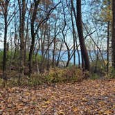 Review photo of Illini Campground — Eldon Hazlet State Recreation Area by Wendy F., November 10, 2020