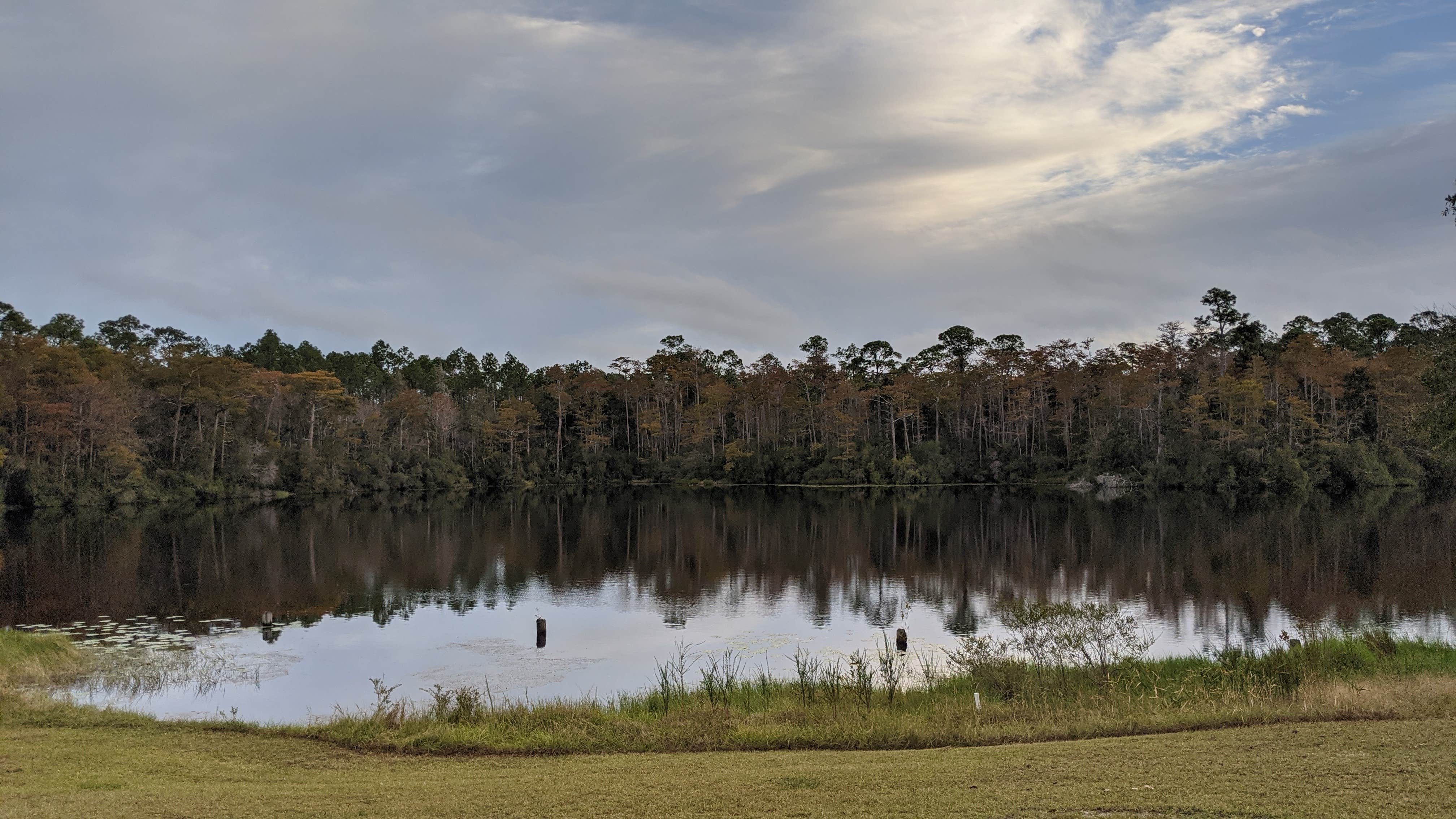 Camper submitted image from Wright Lake Campground - 3