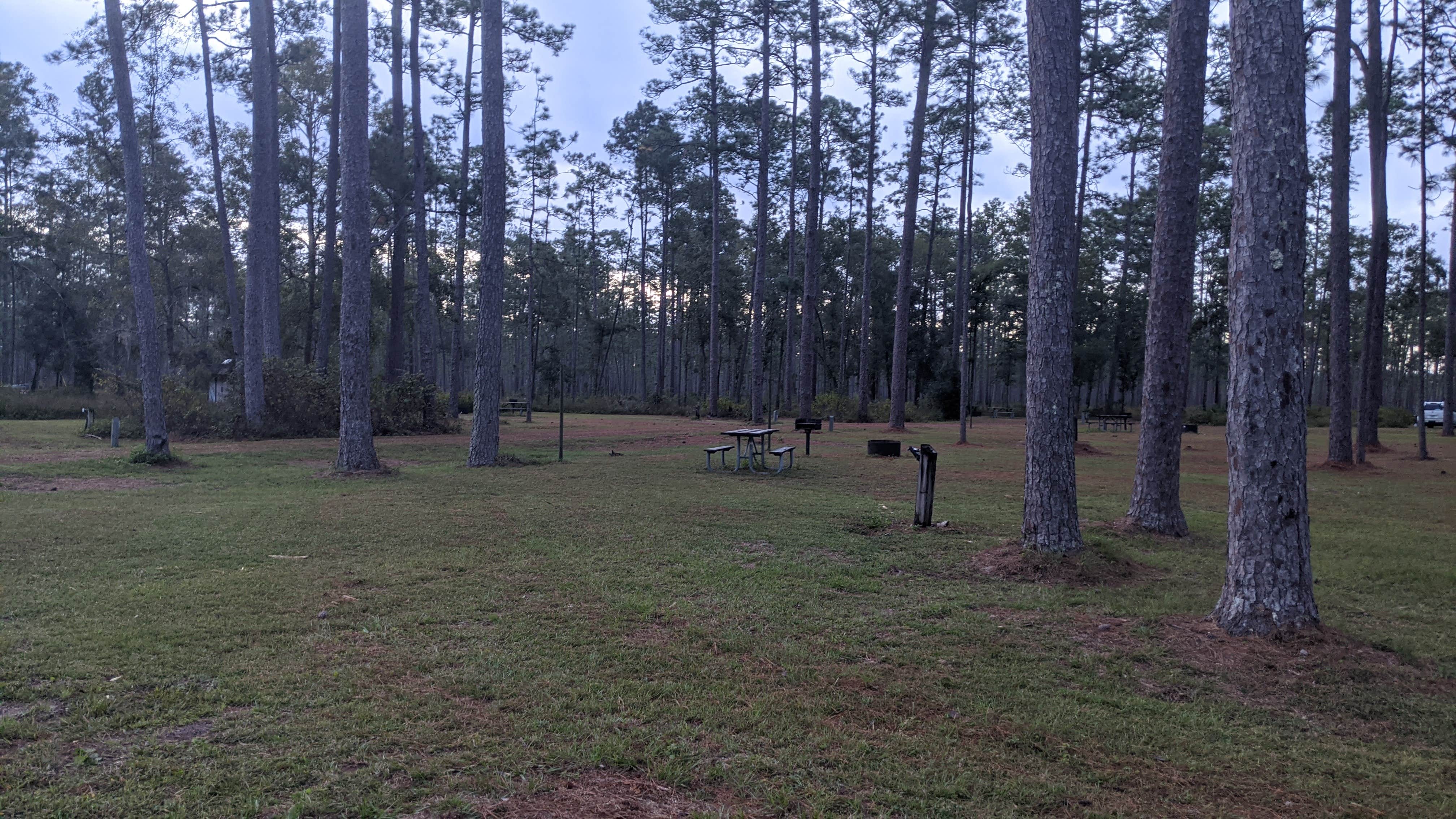 Camper submitted image from Wright Lake Campground - 2