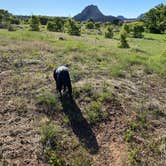 Review photo of Kolob Terrace Road Dispersed by Brittney  C., November 10, 2020