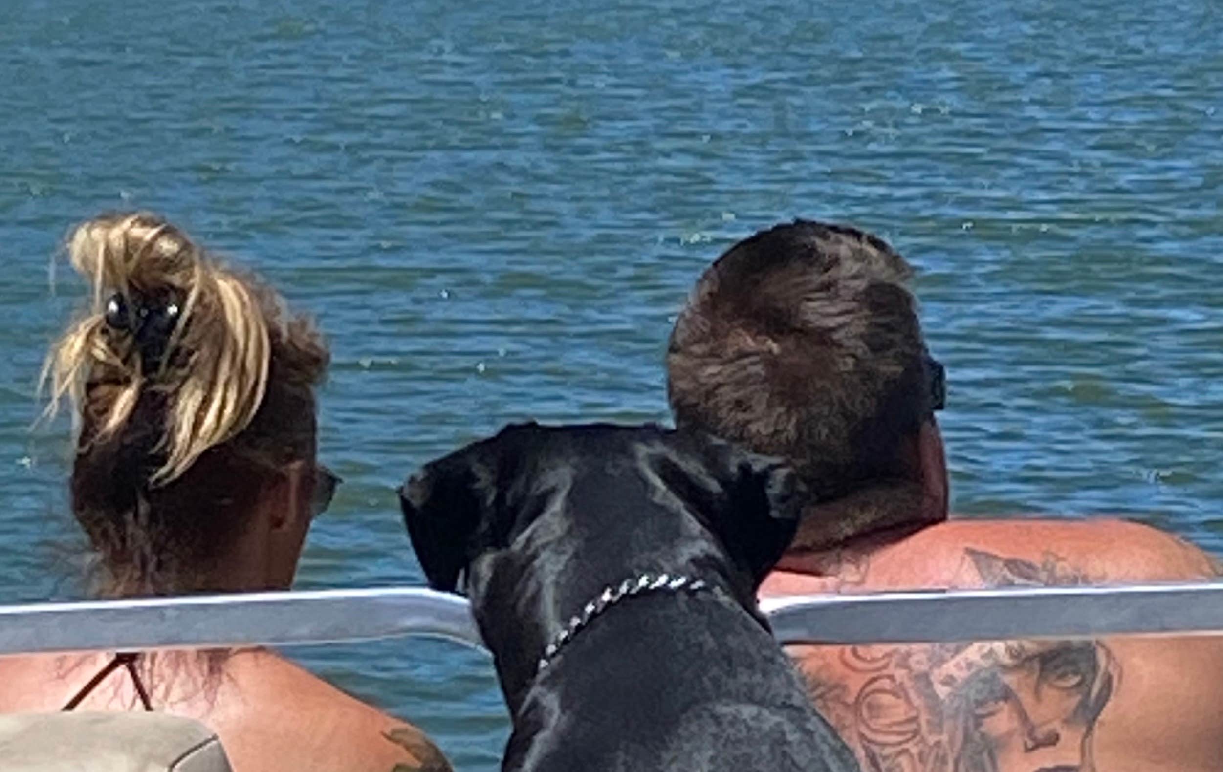 Camper-submitted photo at Holloway's Marina & RV Park near Big Bear Lake, CA