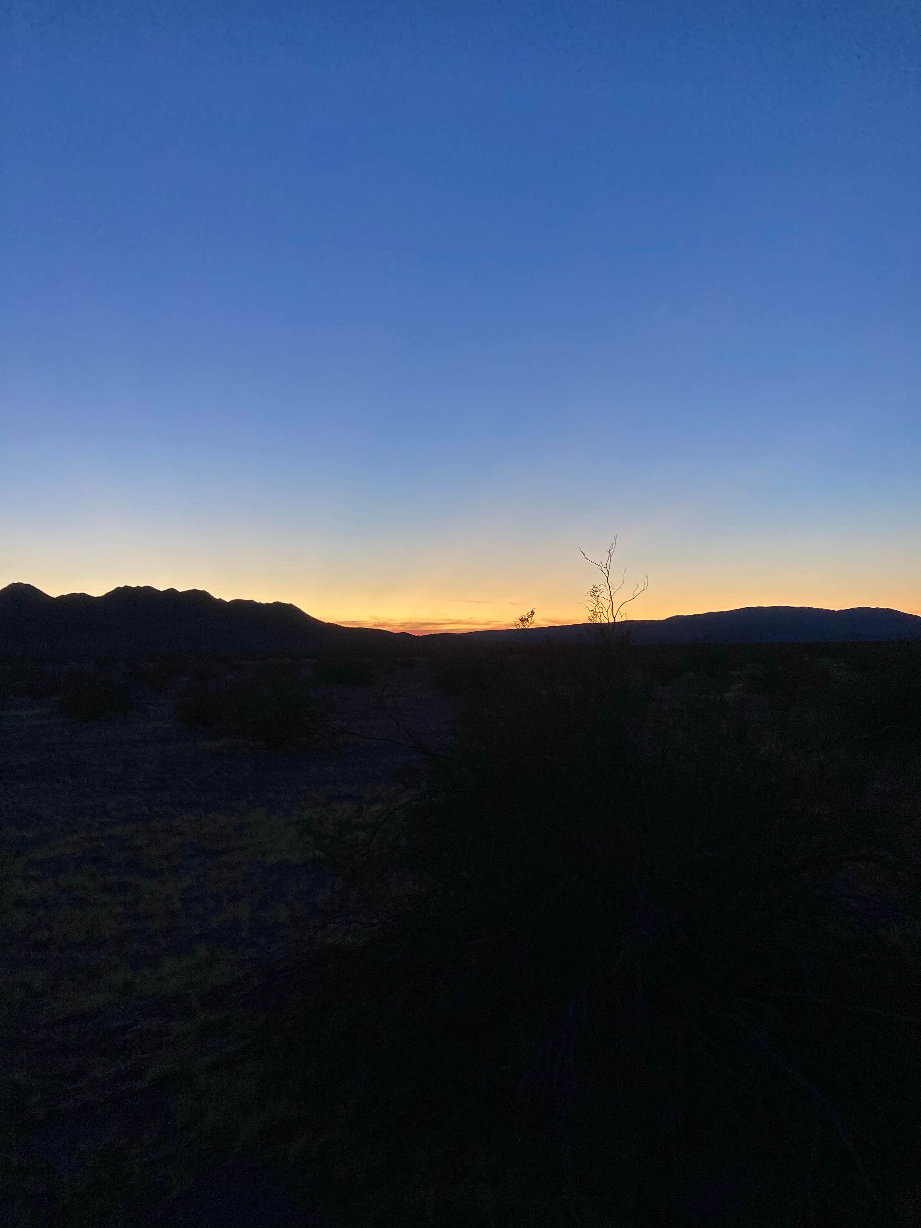 Ariel & John  W.'s photo of a dispersed camping area at Big Dune Recreation Area near Beatty, NV
