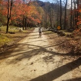Review photo of Curtis Creek Campground by Gregg G., November 10, 2020