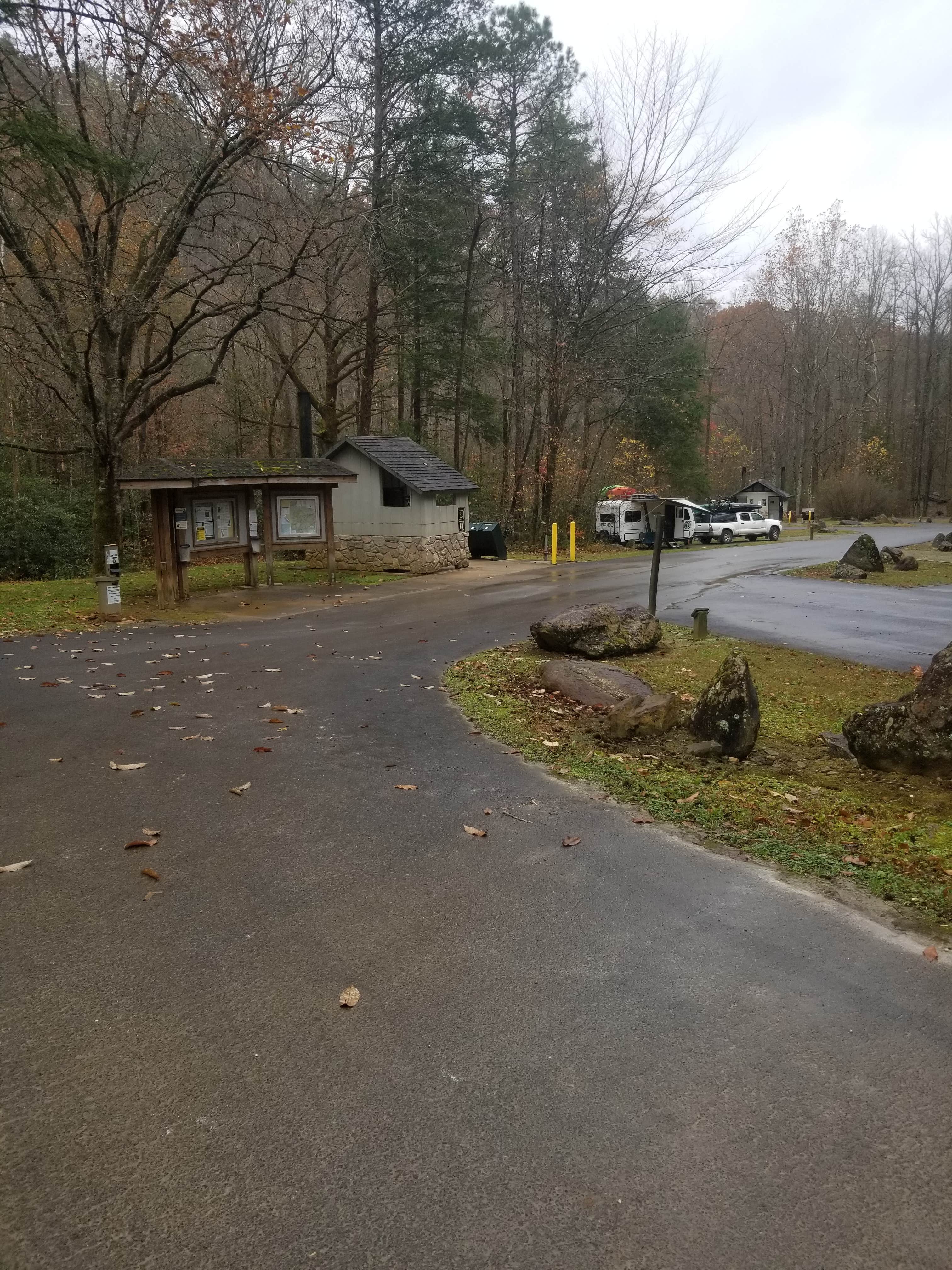 Curtis Creek Campground The Dyrt