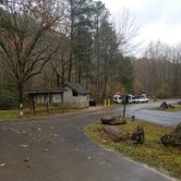 Review photo of Curtis Creek Campground by Gregg G., November 10, 2020