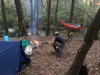 Escape to the Wild: A Guide to Georgia's Wildcat Creek Campground