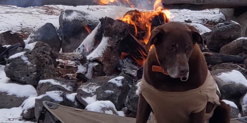 Camper submitted image from Boundary Springs Campground