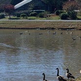 Review photo of Rutledge Lake RV Resort by Ray & Terri F., November 10, 2020