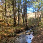 Review photo of Rutledge Lake RV Resort by Ray & Terri F., November 10, 2020
