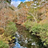 Review photo of Petit Jean State Park — Petit Jean State Park by Sara R., November 10, 2020
