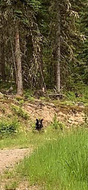 Camper-submitted photo at Gipsy Lake near White Sulphur Springs, MT