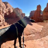 Review photo of Gouldings RV and Campground by Sara R., November 10, 2020