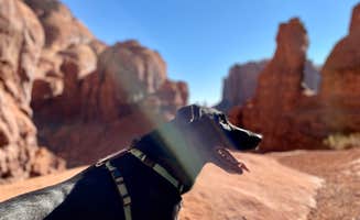 Sara R.'s photo of camping with pets at Gouldings RV and Campground near Monument Valley, AZ