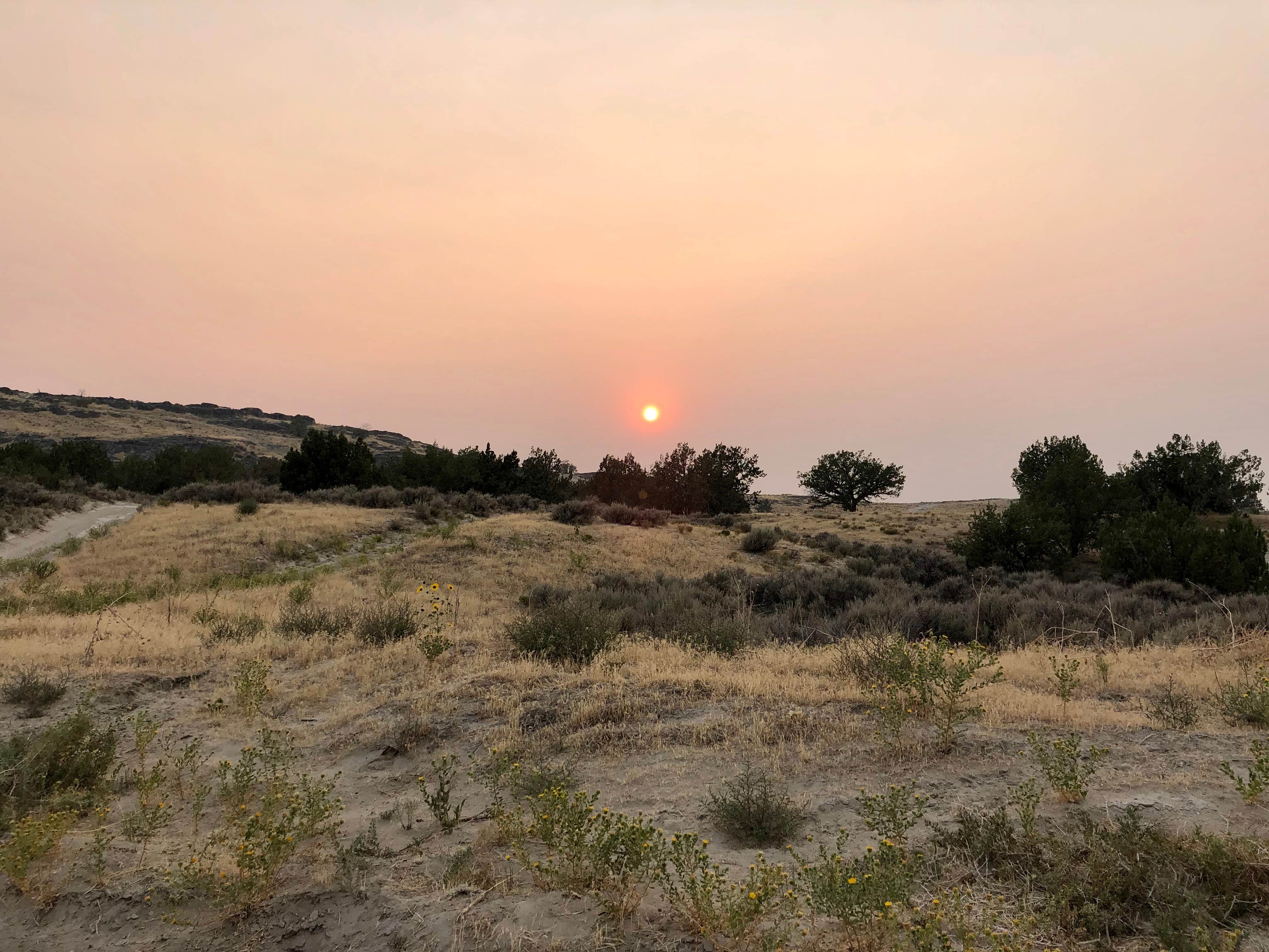 Sara R.'s photo of a dispersed camping area at Horseshoe Knoll - Dispersed Camping near Stockton, UT