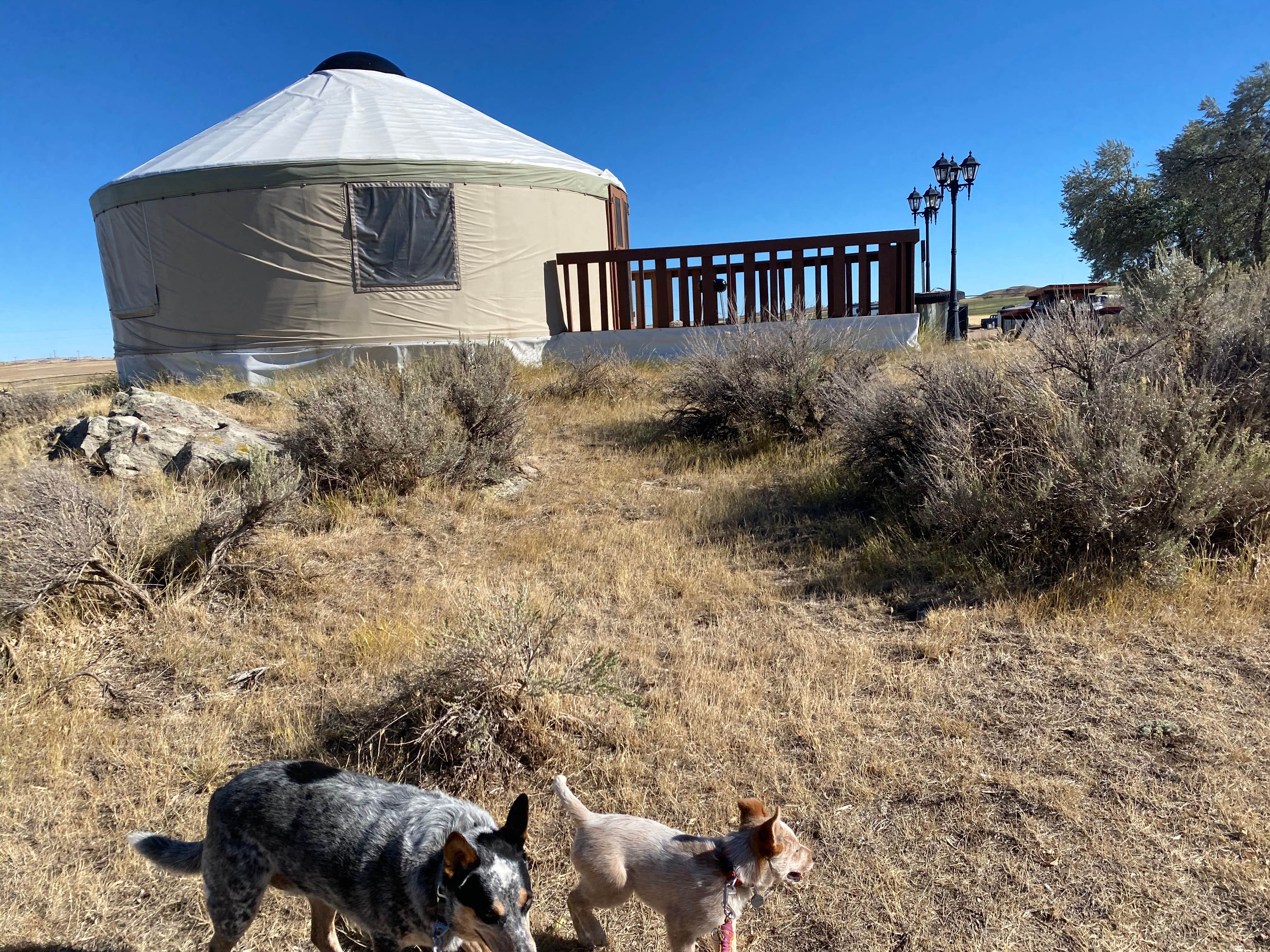 Camper-submitted photo at Douglas KOA near Casper, WY