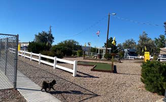 Shelly S.'s photo of camping with pets at Douglas KOA near Evansville, WY