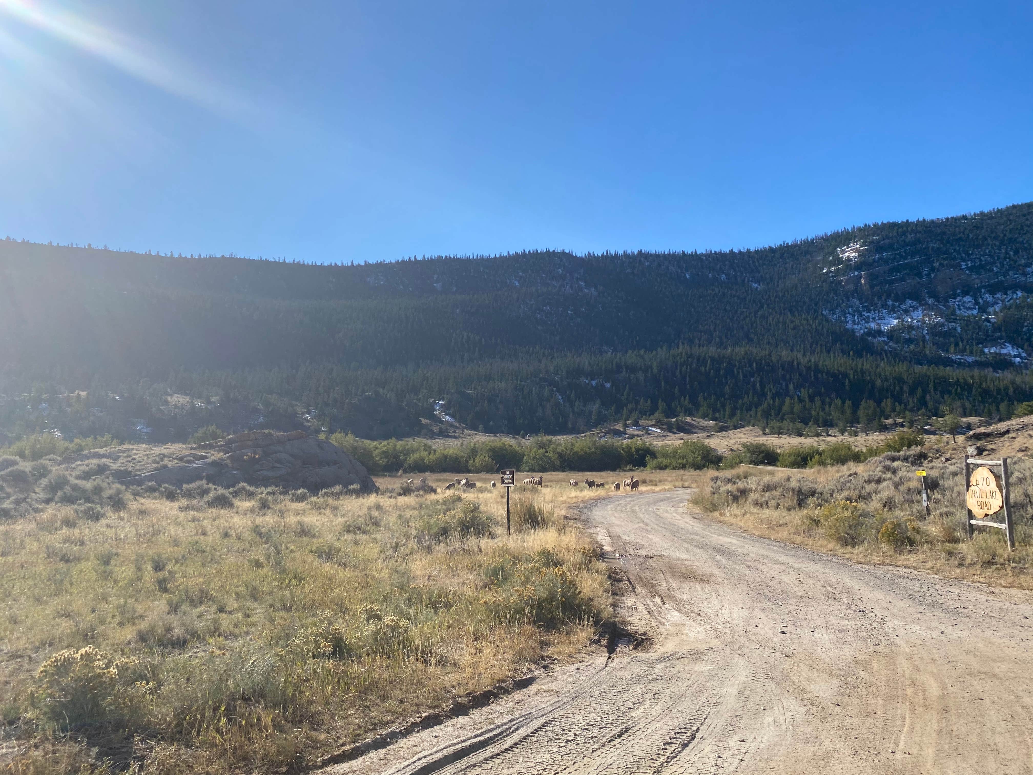 Camping near Solitude RV Park: Dubois-Wind River KOA, Dubois, Wyoming