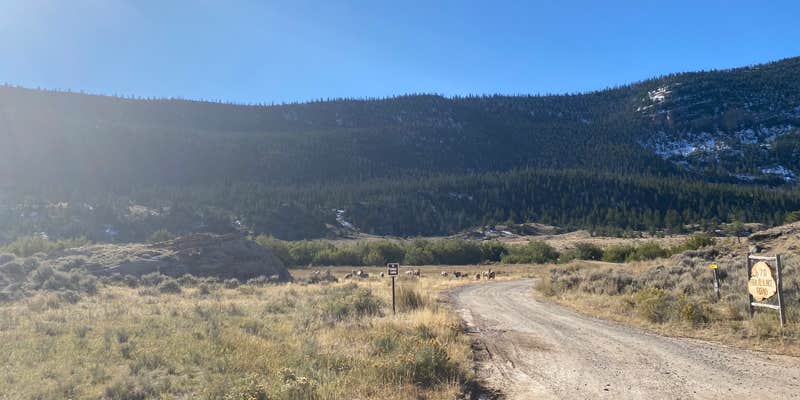 Camper submitted image from Dubois-Wind River KOA