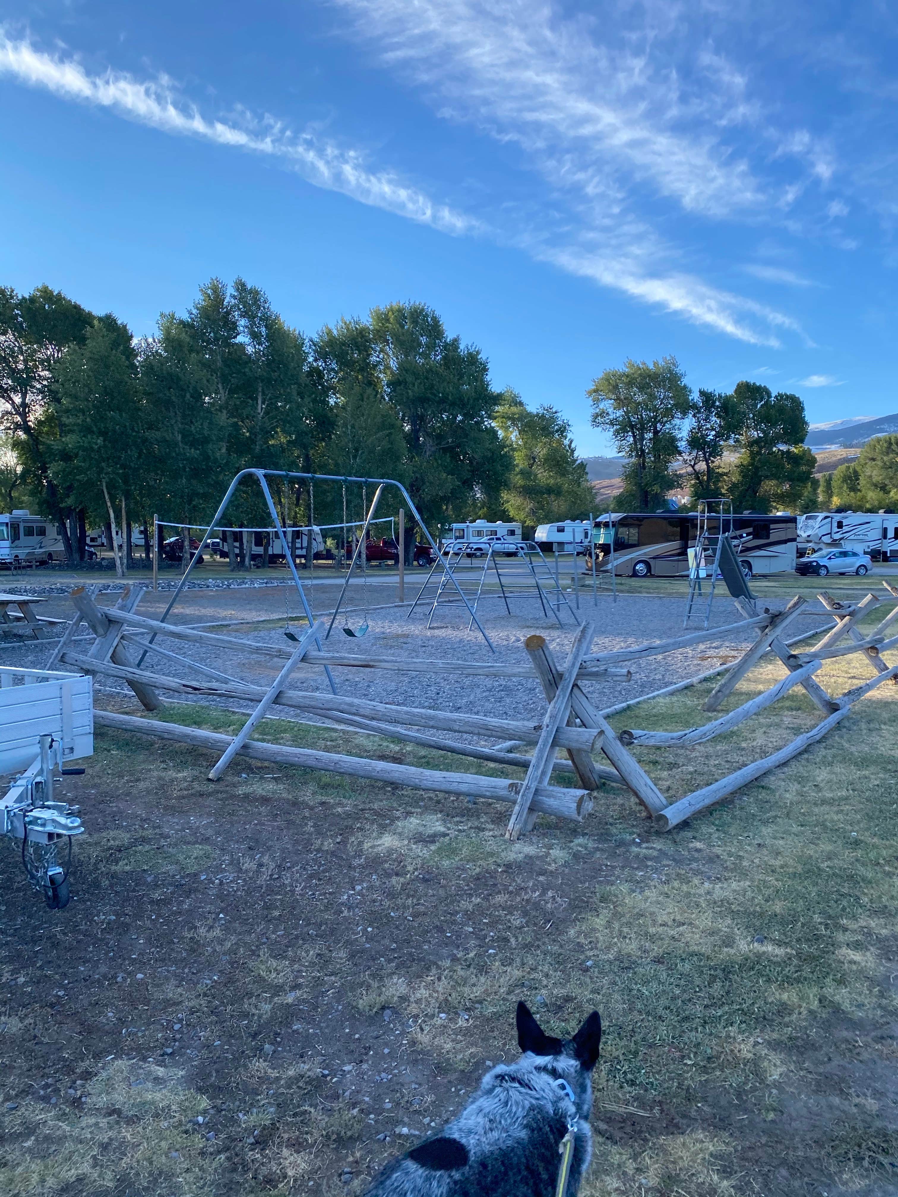 Shelly S.'s photo of camping with pets at Dubois-Wind River KOA near Shoshone National Forest