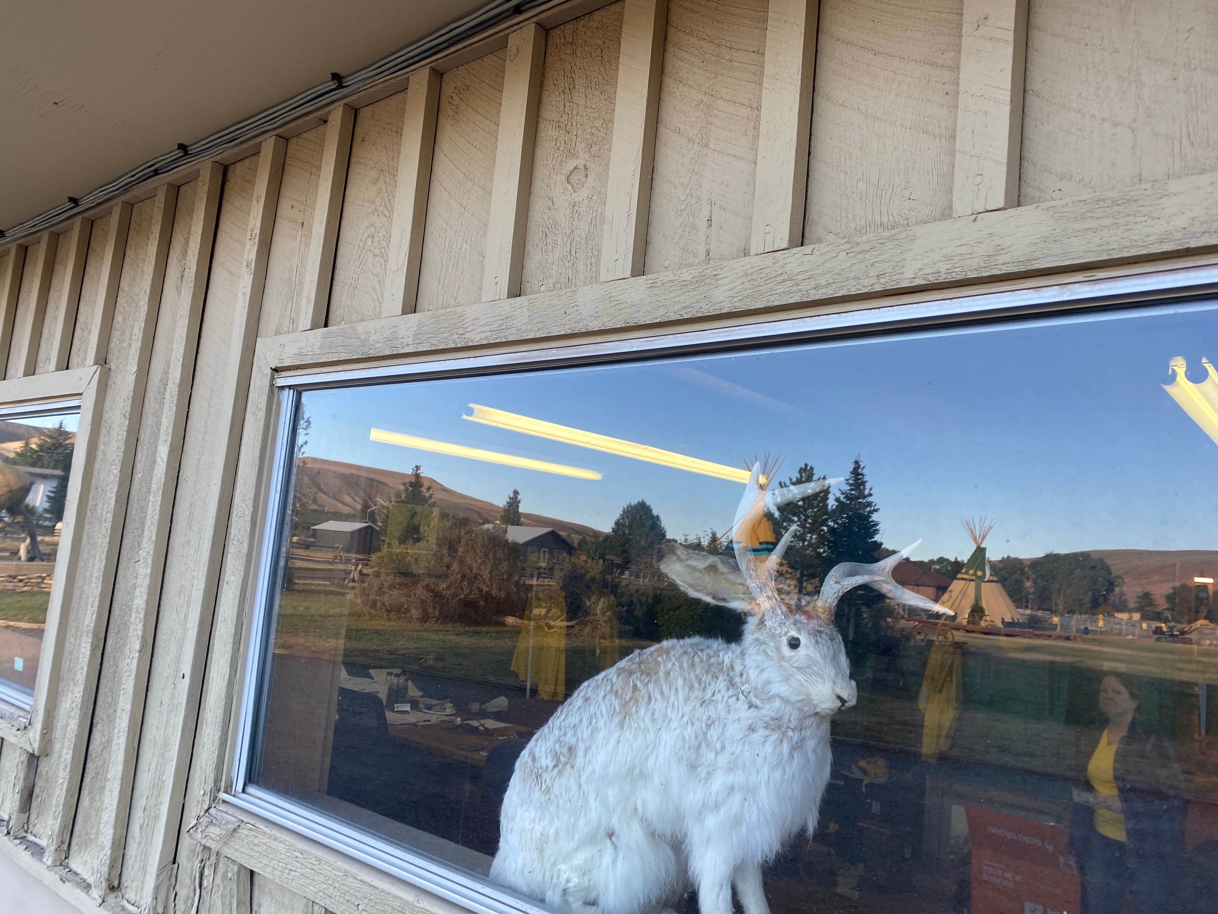 Camper-submitted photo at Dubois-Wind River KOA near Shoshone National Forest