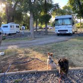 Review photo of Dubois-Wind River KOA by Shelly S., November 11, 2020