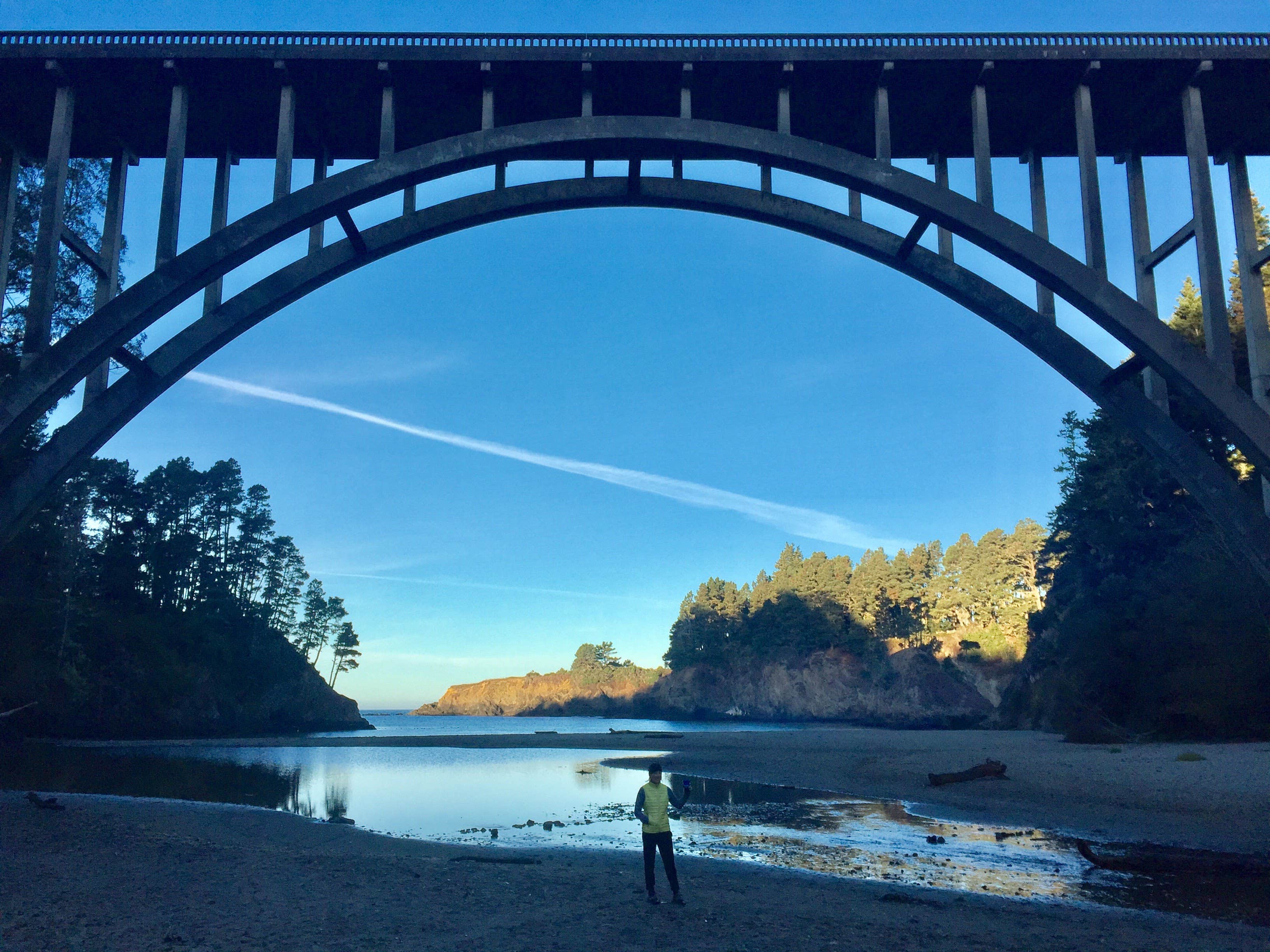 Camper submitted image from Russian Gulch State Park Campground - 5