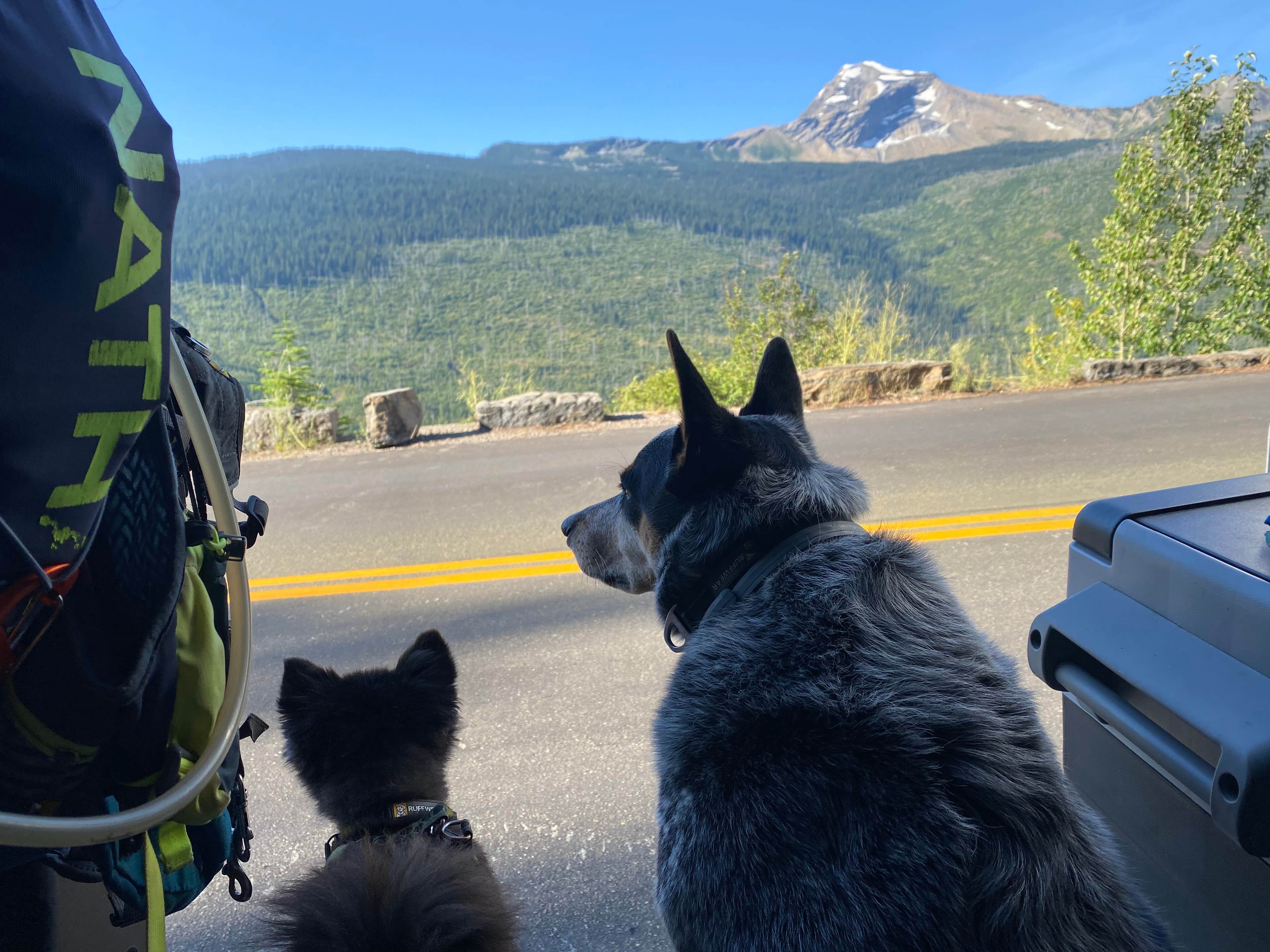 Shelly S.'s photo of camping with pets at West Glacier KOA Resort near Martin City, MT