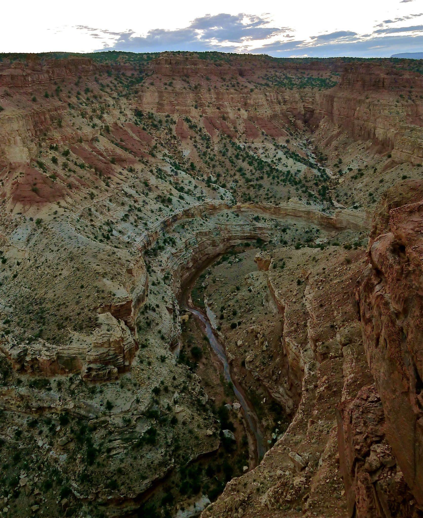 Camper submitted image from Cedar Mesa Campground — Capitol Reef National Park - 2