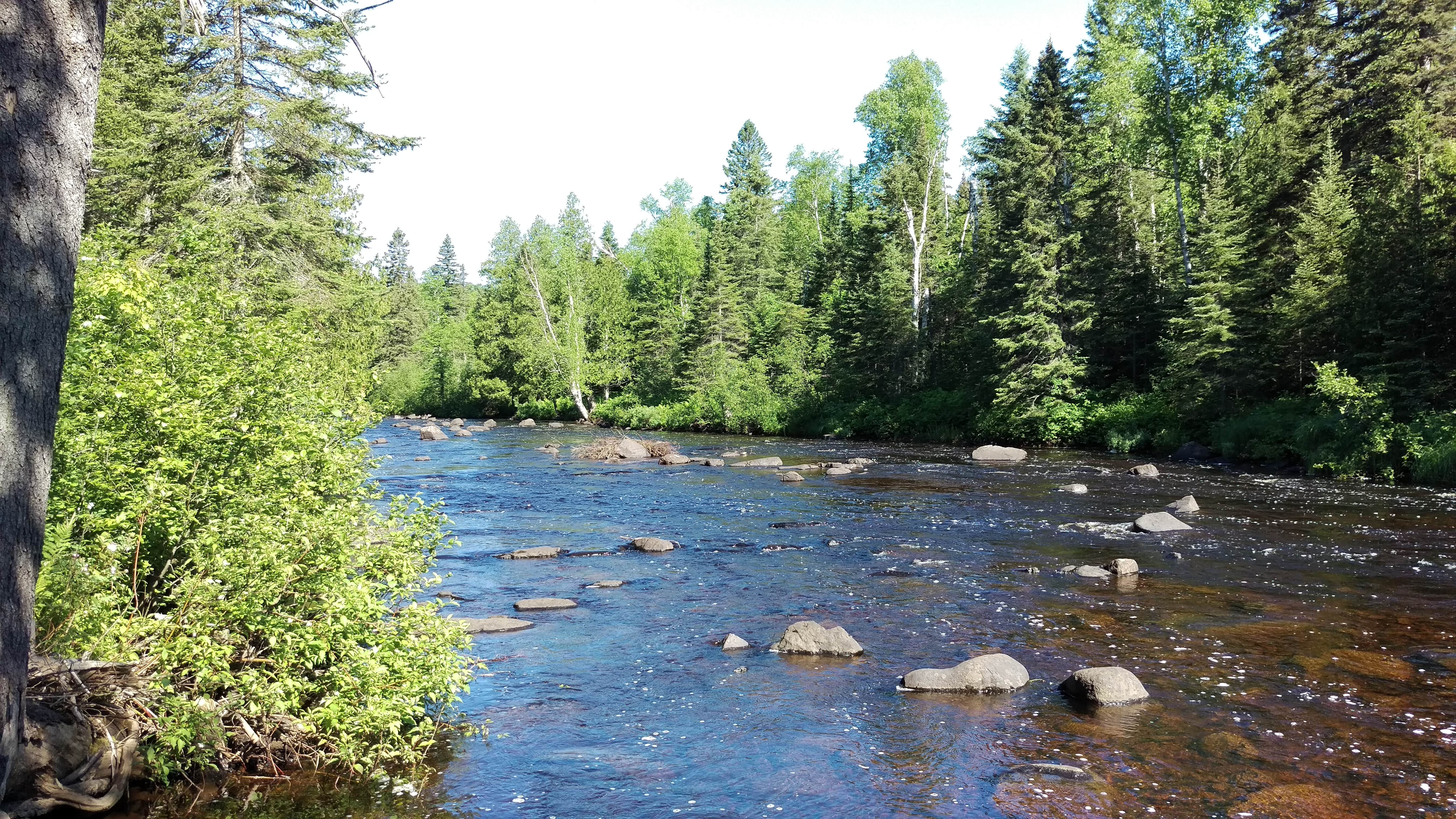 Camper submitted image from George H. Crosby Manitou State Park Campground - 3