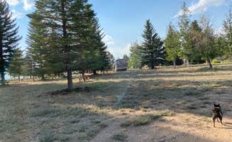 Shelly S.'s photo of camping with pets at Trinity View Resort in Idaho