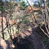 Review photo of Starved Rock Campground — Starved Rock State Park by Charles M., November 11, 2020