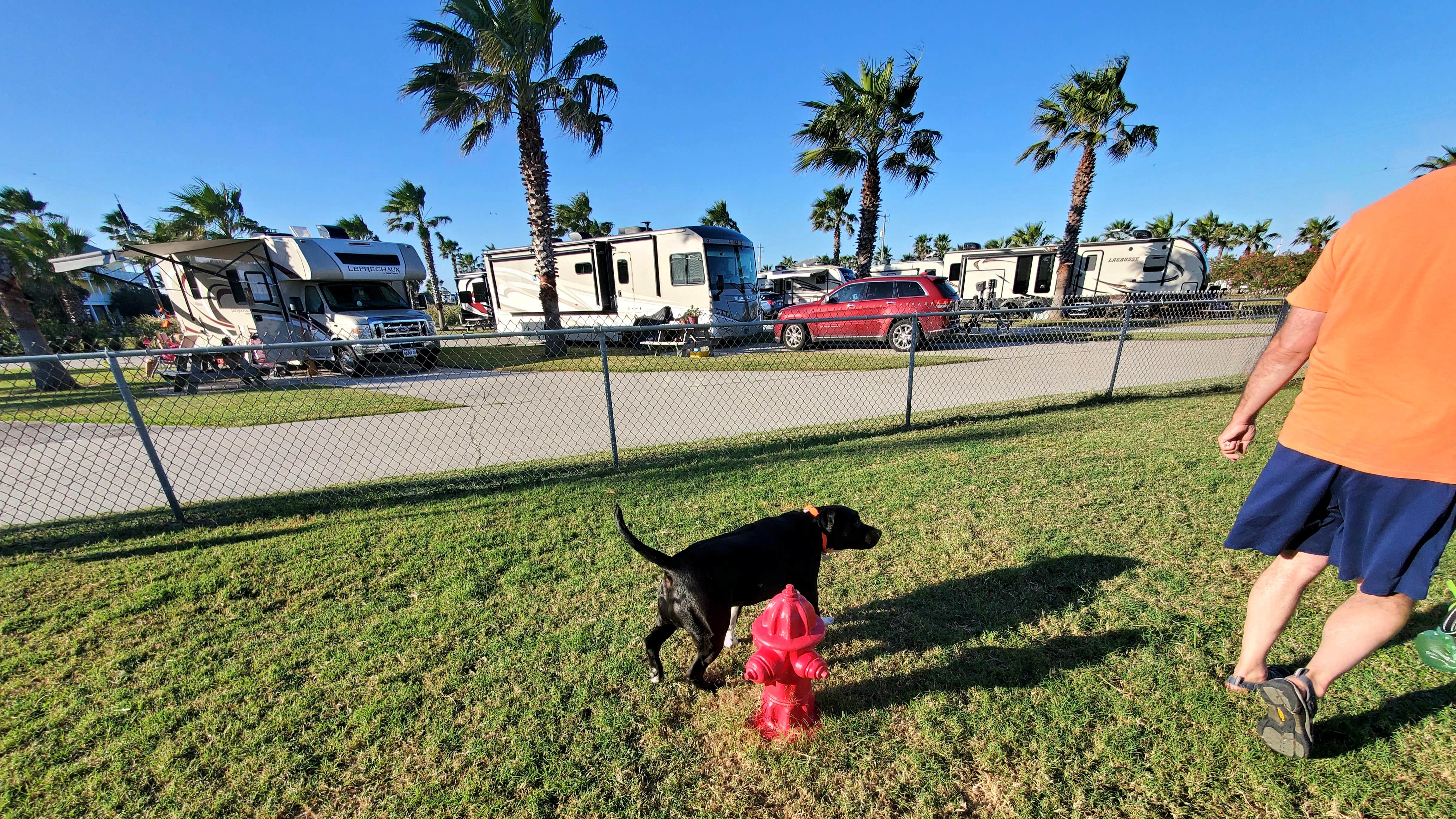Elisha  L.'s photo of camping with pets at Jamaica Beach RV Resort near Angleton, TX
