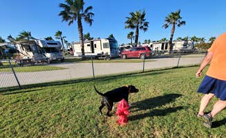Elisha  L.'s photo of camping with pets at Jamaica Beach RV Resort near Galveston, TX