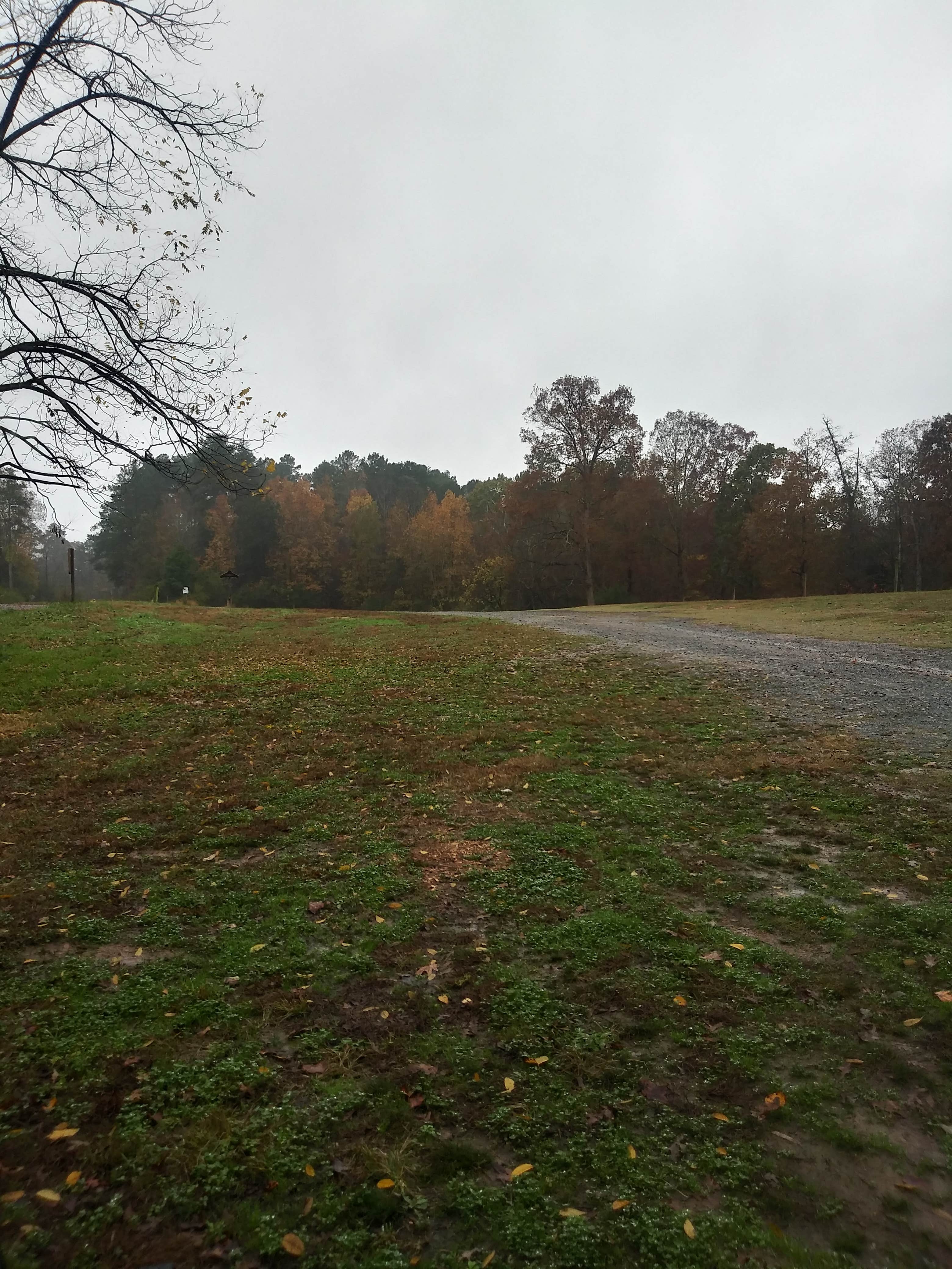 Camper submitted image from Canebrake Horse Camp - 5