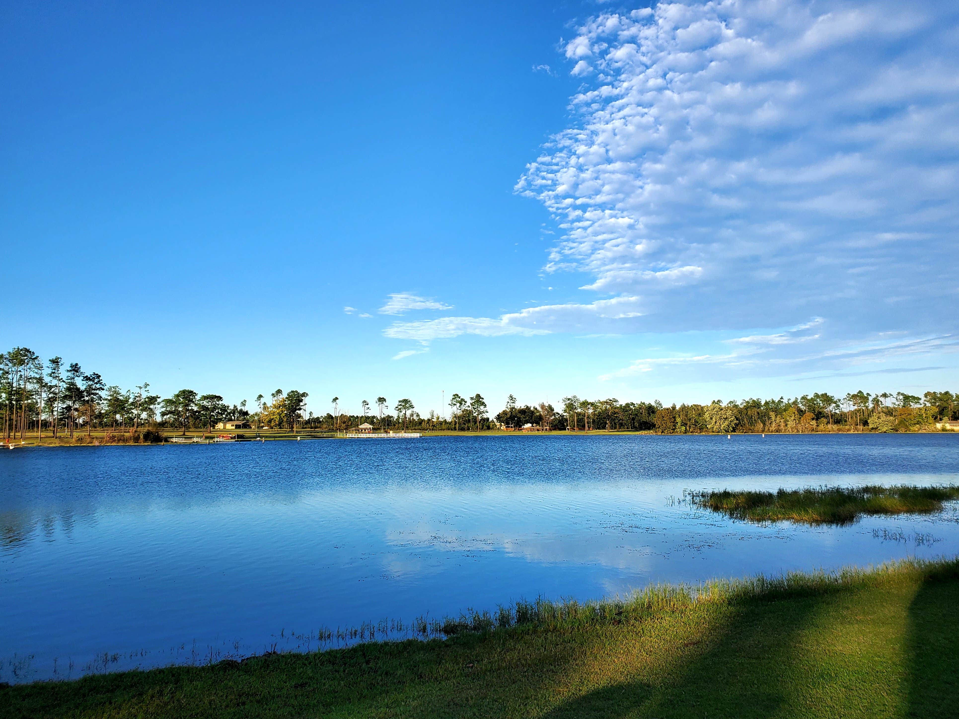 Camper submitted image from Seminole State Park Campground - 3