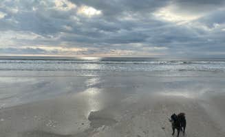 Shelly S.'s photo of camping with pets at Pelican Roost RV Park near Jacksonville, FL