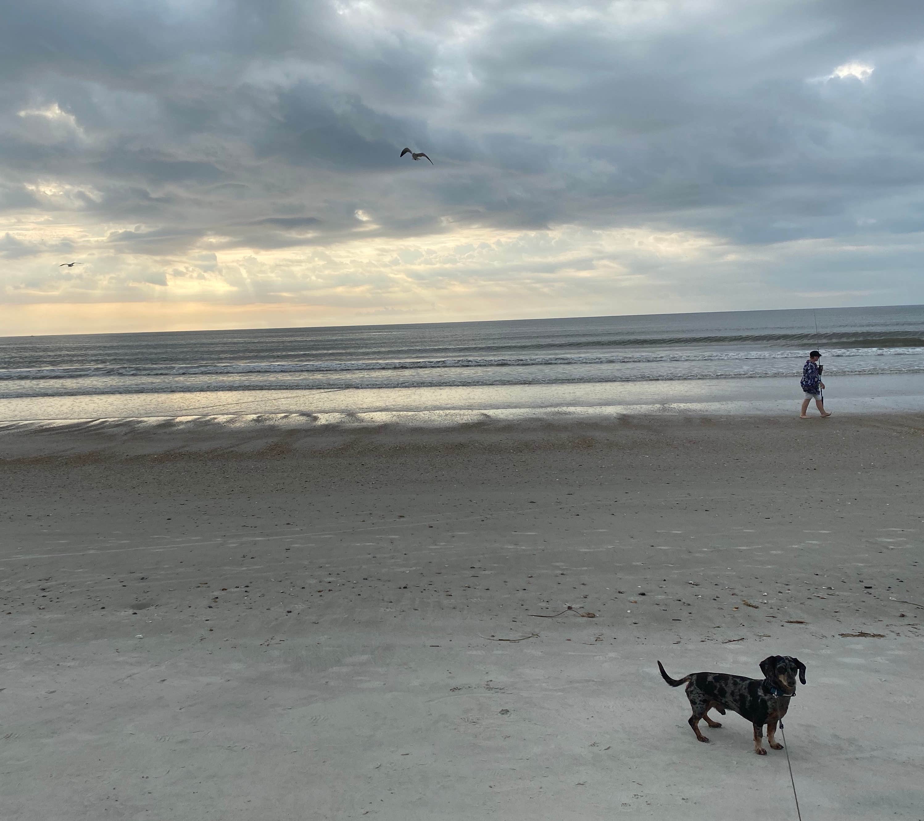 Camper-submitted photo at Pelican Roost RV Park near Ponte Vedra Beach, FL