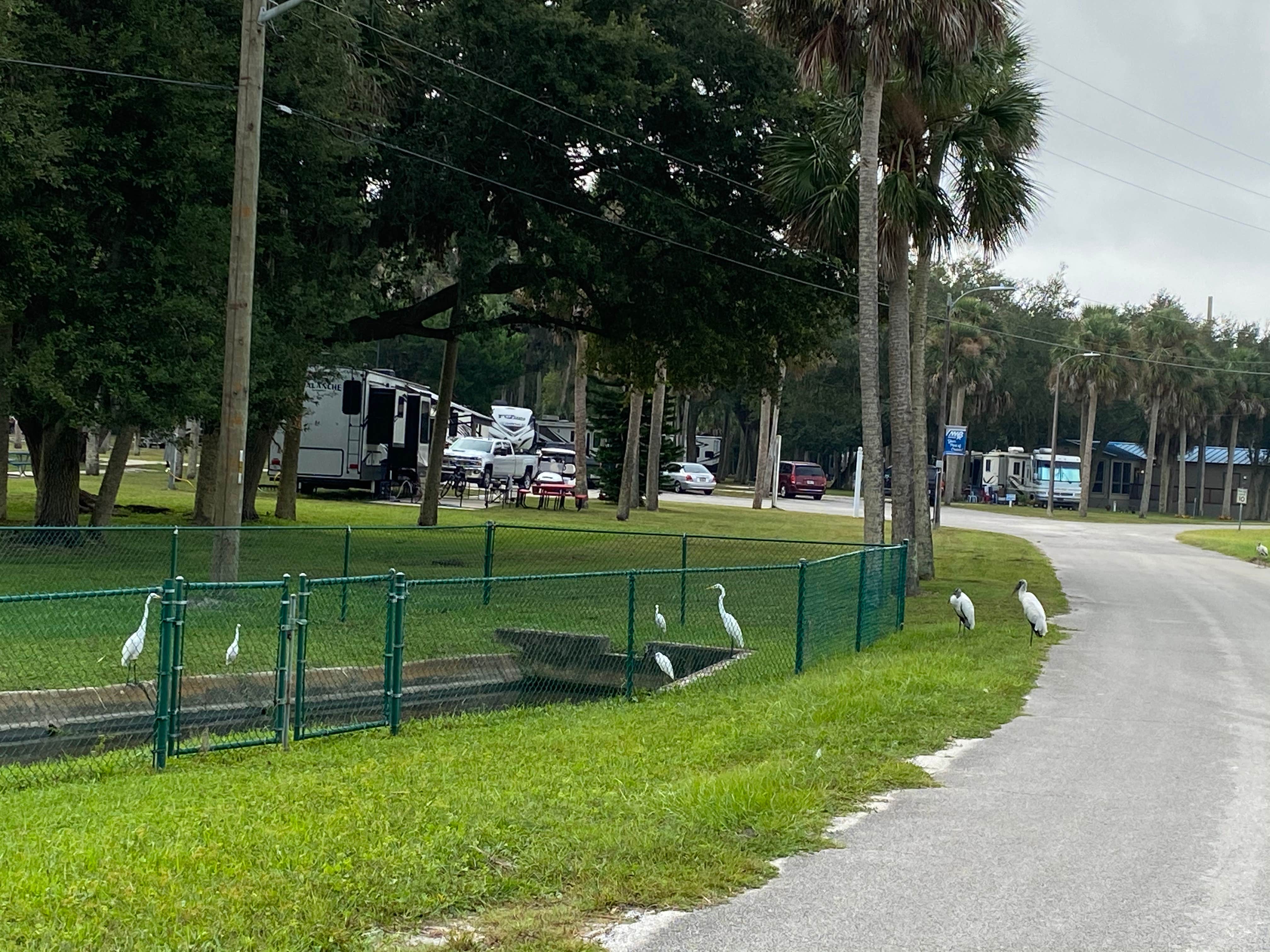 Shelly S.'s photo of rv camping at Osprey Cove Military - Mayport NS near Ponte Vedra Beach, FL