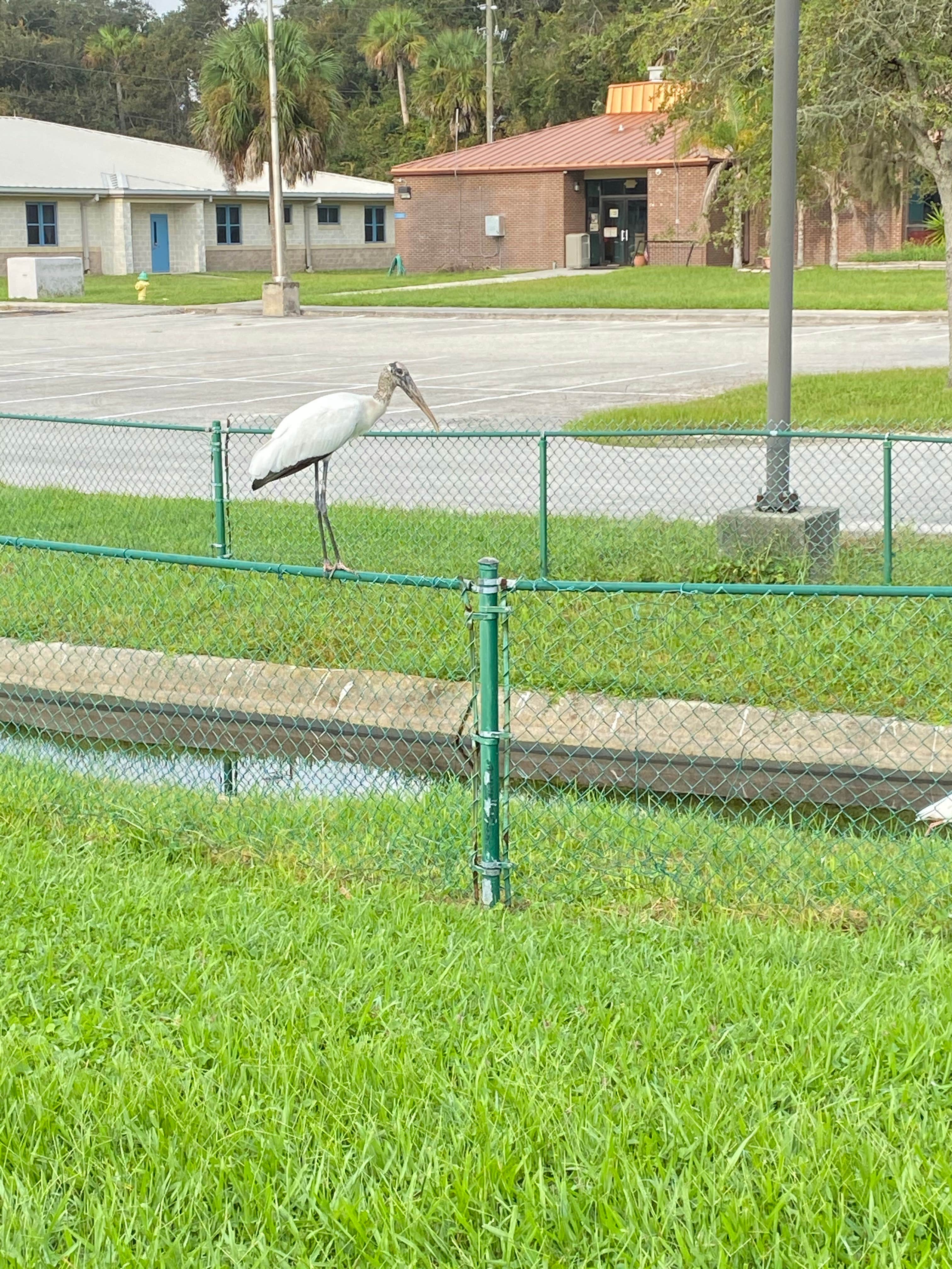 Camper-submitted photo at Osprey Cove Military - Mayport NS near Ponte Vedra Beach, FL